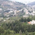 صحيفة السفير ـ نجلة حمود: ينتظر أن تتحول الوعود التي أغدقتها الحكومات المتعاقبة والتي تتعلق بالمشاريع الحيوية الكبرى في المحافظة، إلى واقع يترجم على الأرض، وذلك بعدما كلَّ العكاريون من...